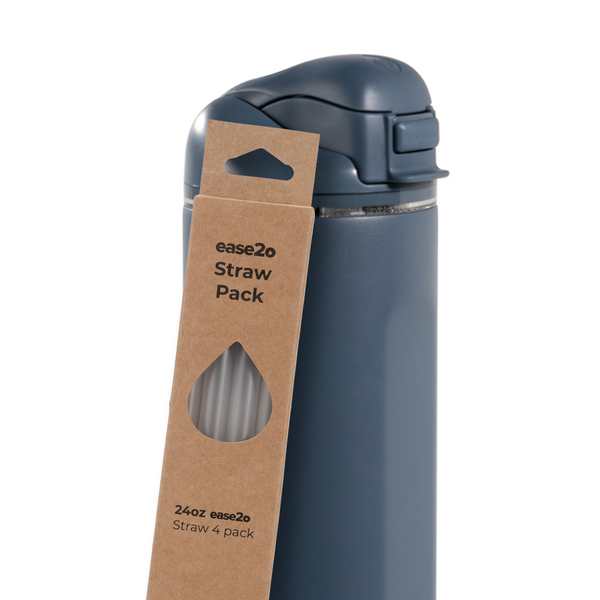 Ease2o Straws 4 Pack 24oz A8